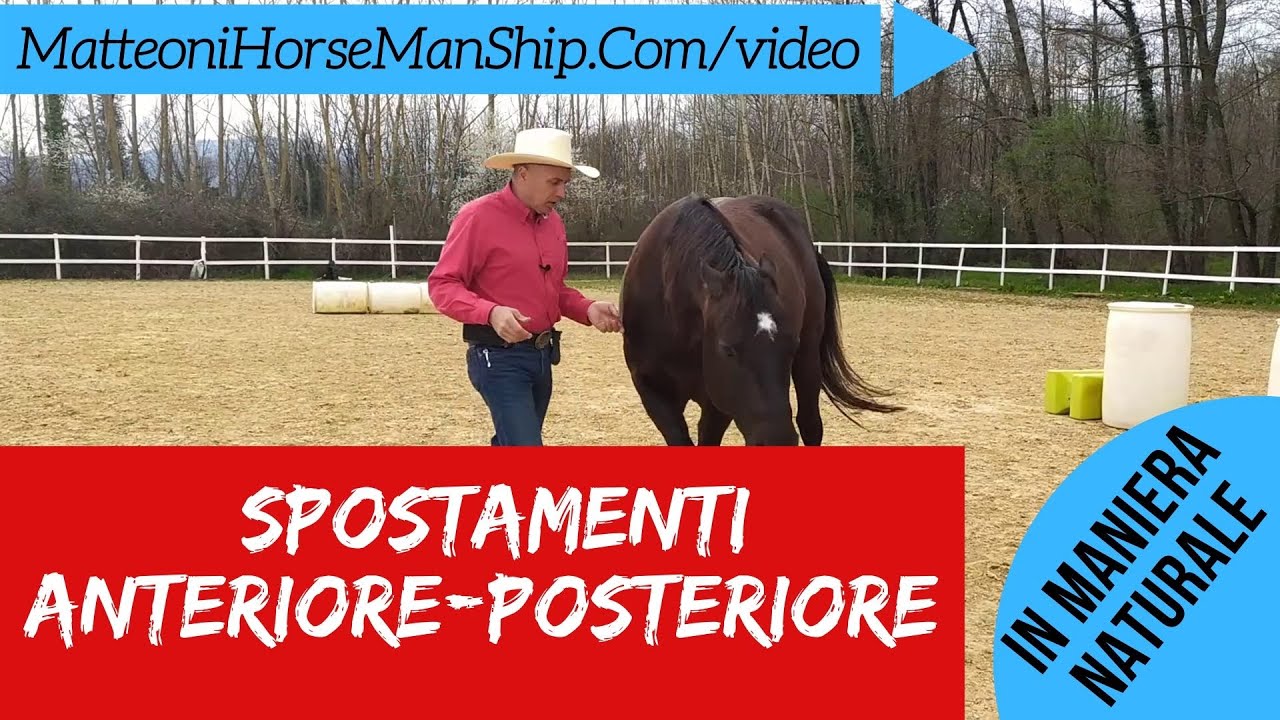 Perché e come insegnare al cavallo lo spostamento di anteriori e posteriori