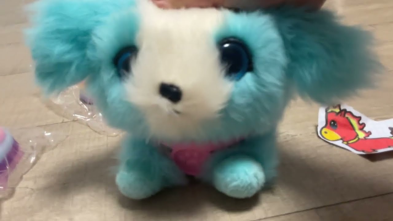 Taba Squishy Frenzy
