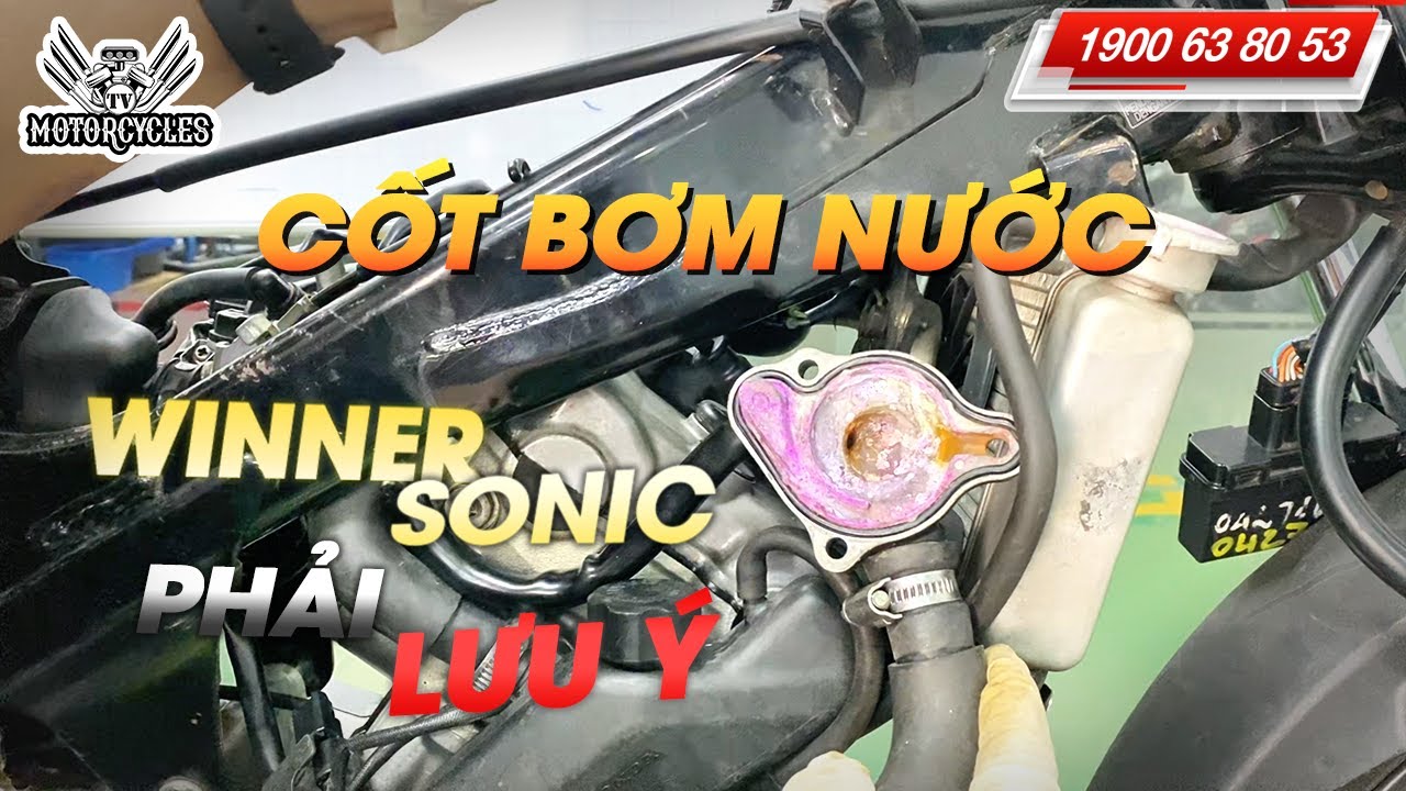 Видео 856: Обучение ремонту мотоциклов: заметки о гидрозатворах Winner | Motorcycle TV