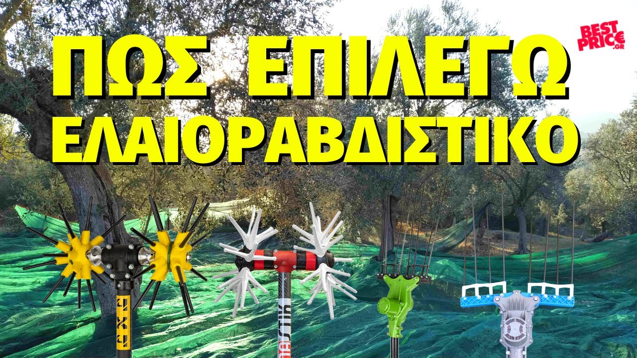 ΠΩΣ ΕΠΙΛΕΓΩ ΕΛΑΙΟΡΑΒΔΙΣΤΙΚΟ - ΑΧΙΝΟΣ Ή ΧΤΕΝΑ