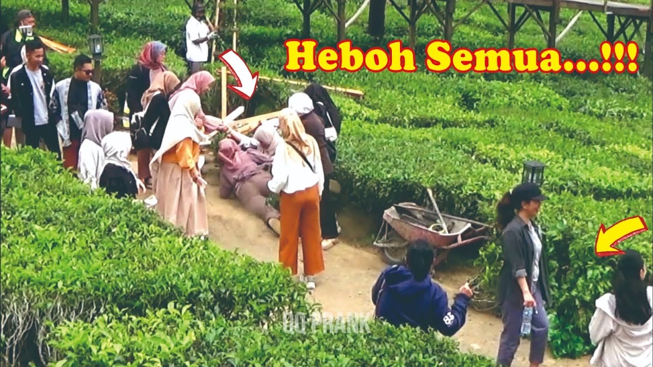 NGAKAK TEMENNYA JATUH MALAH DIKETAWAIN PUAS!!! || Bushman Prank