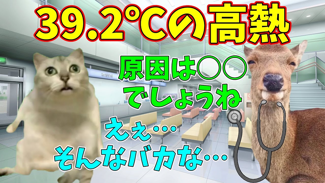 【猫ミーム】真冬に原因不明の高熱が出た話 #猫ミーム #猫マニ