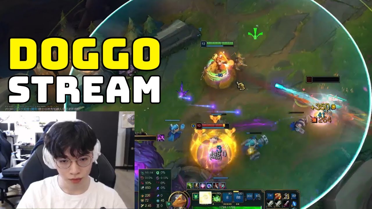 CFO Doggo Stream Twich Show You How To Kiting