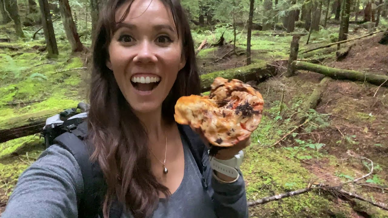 Mushroom Hunt and Cook in the Pacific Northwest!