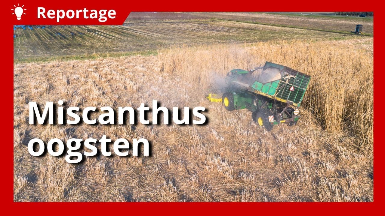 Efficiënte oogst van miscanthus met aangepaste hakselaar