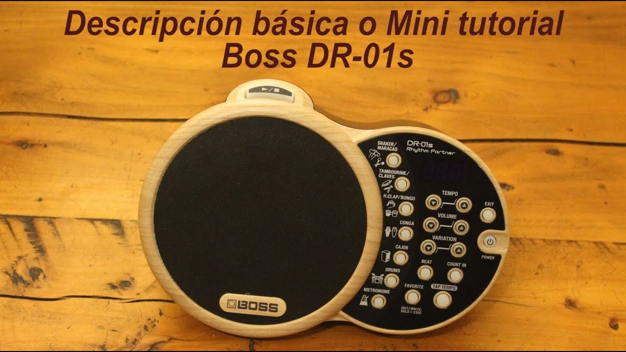 Tutorial Boss DR-01s