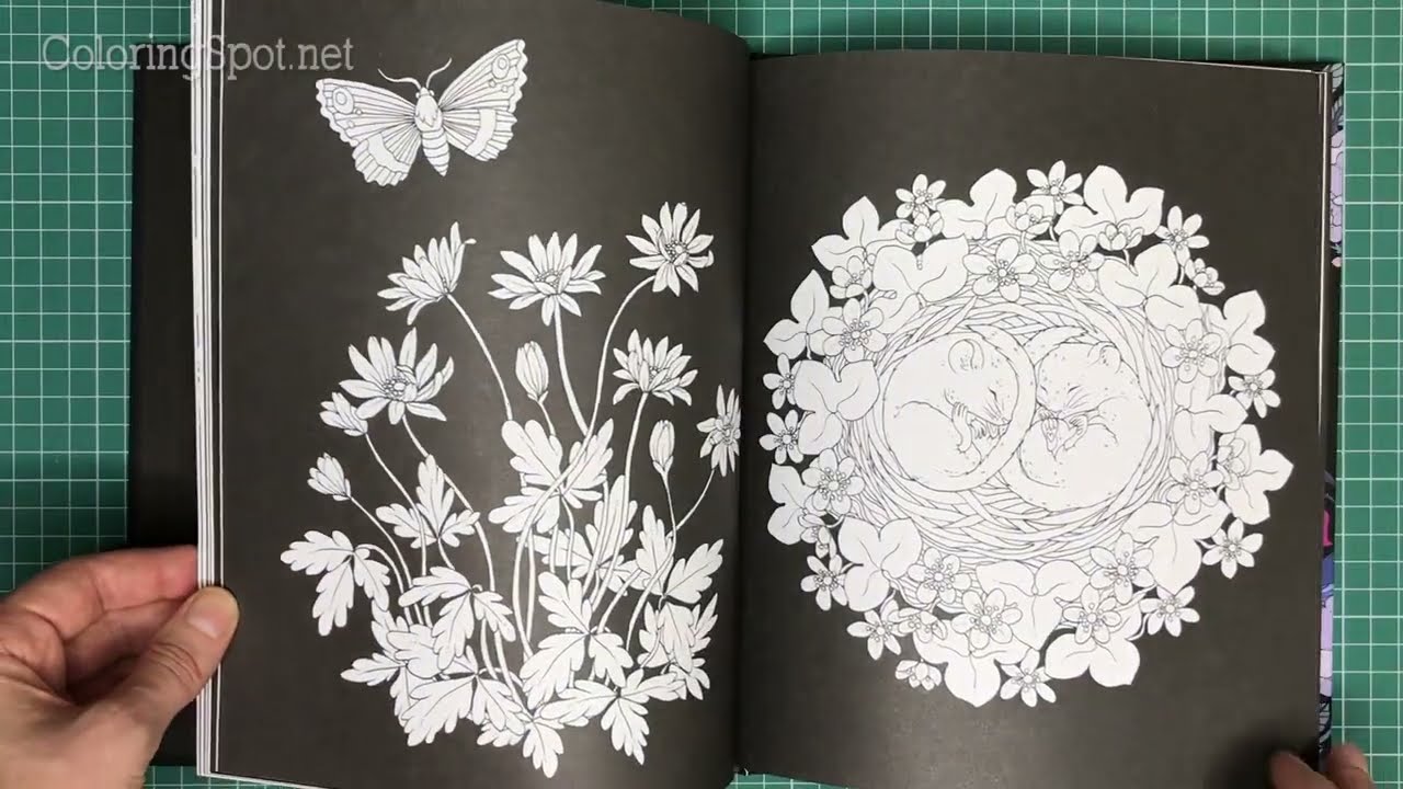 Favourite Colouring Books: Nightfall - Maria Trolle - Flip-Through