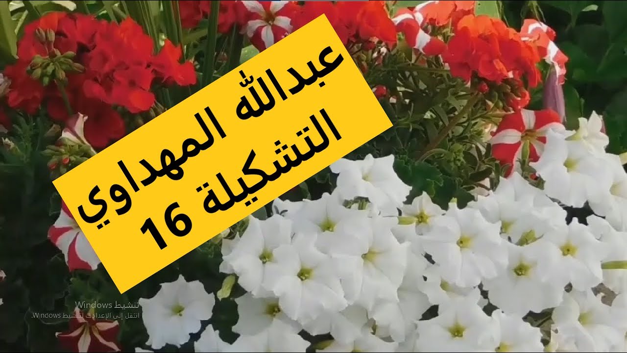 عبدالله المهداوي#التشكيلة16 اروع الاناشيد الدينيةAbdullah Al-Mahdawi#collection15 the most wonderful