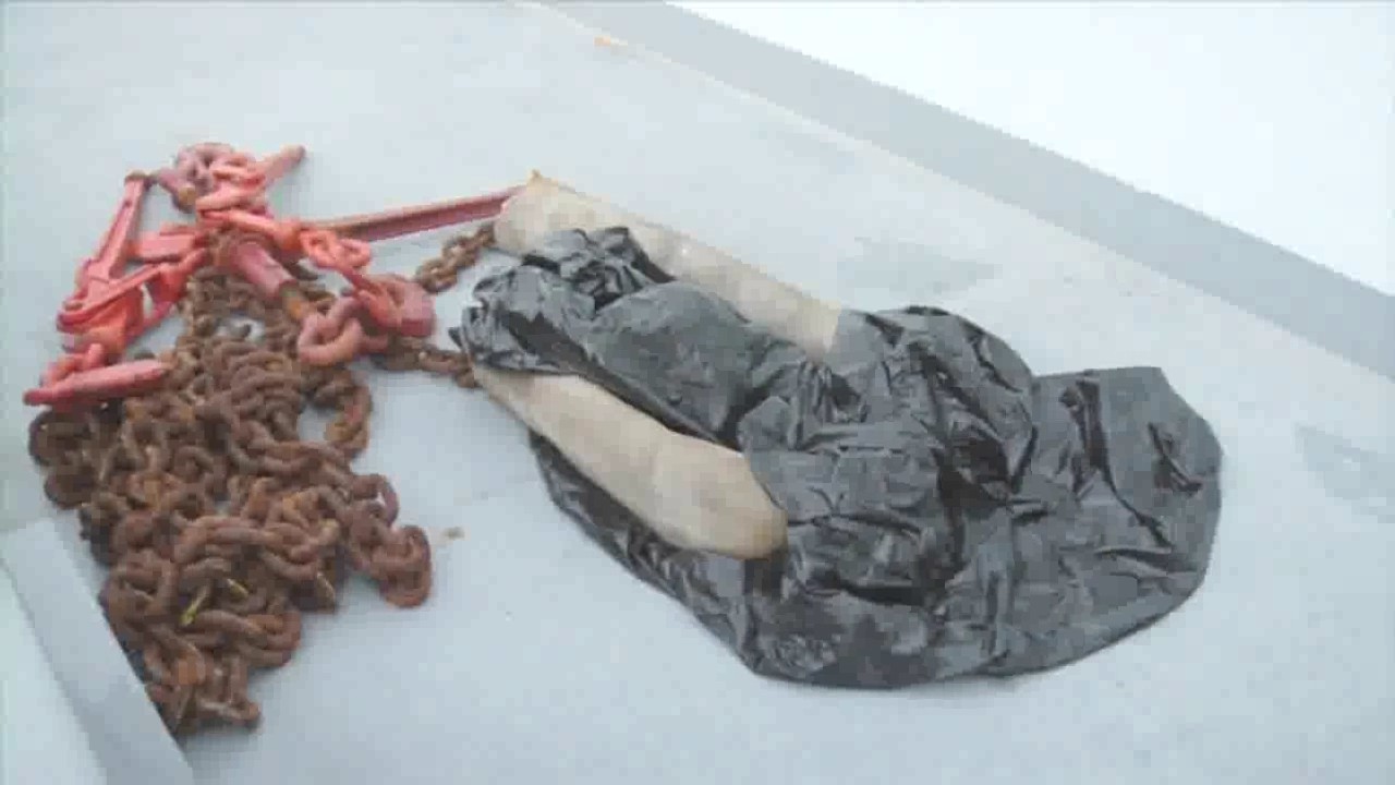 Research Vessel Safety Training Video