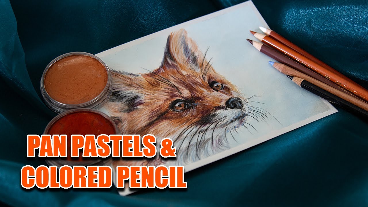Fox in PanPastel & Colored Pencil - Tutorial for Beginners