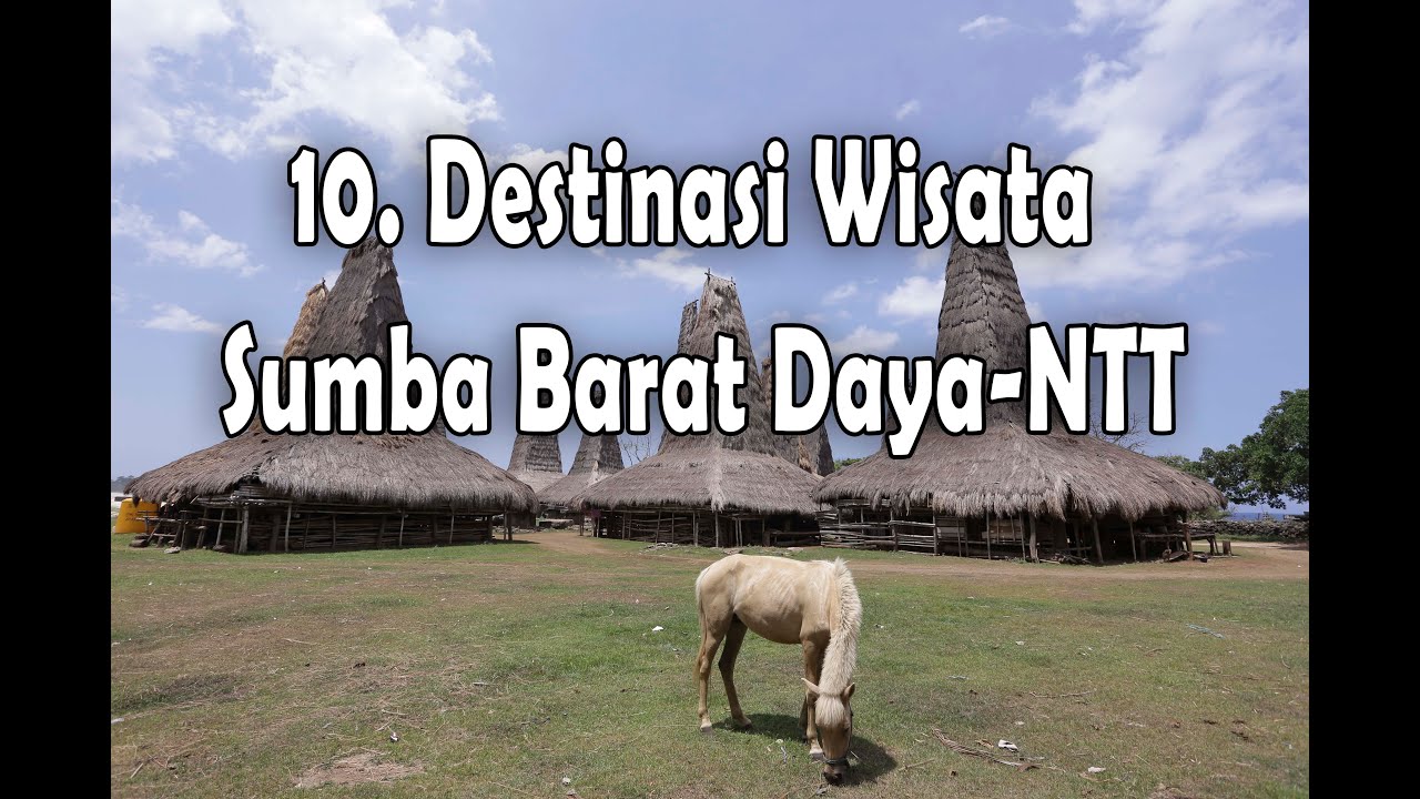 10 DESTINASI WISATA SUMBA BARAT DAYA YANG WAJIB DIKUNJUNGI
