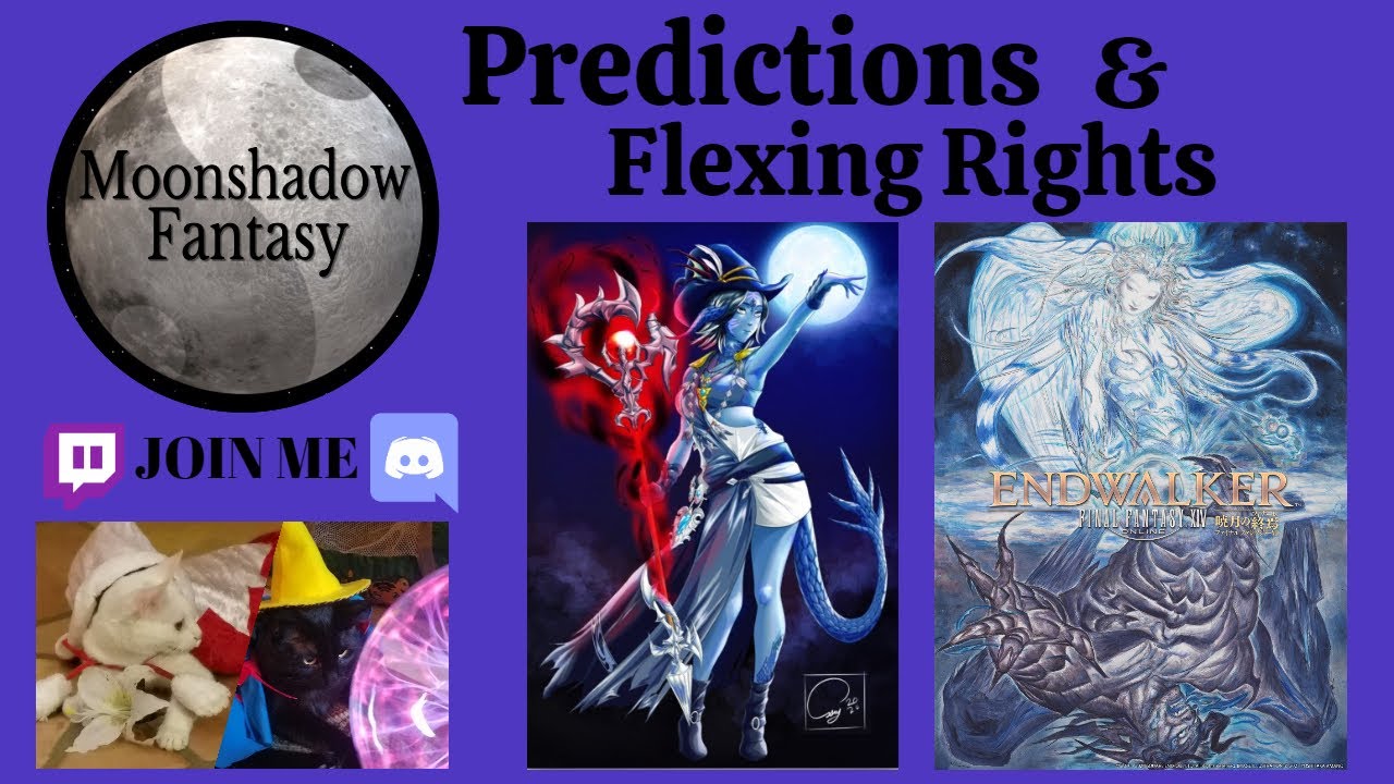 Final Fantasy XIV - Endwalker (Predictions and Flexing Rights) The Future of Moonshadow Fantasy