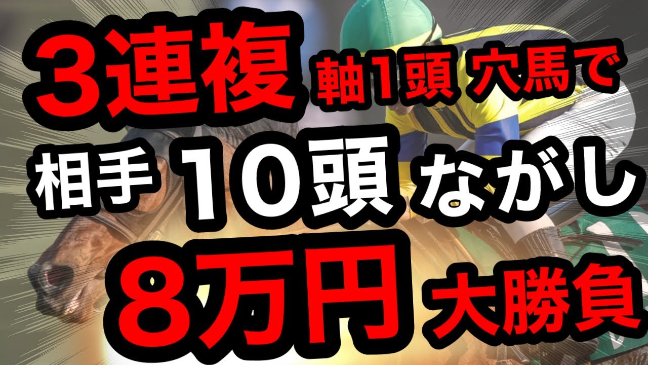 【爆勝ちor爆死!?】3連複軸1頭を穴馬で相手10頭ながし、合計8万円勝負したら、とんでもない3連複が的中！？【馬券勝負】