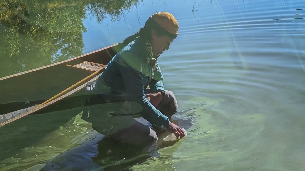 Harmful Algal Blooms in Pristine Lakes