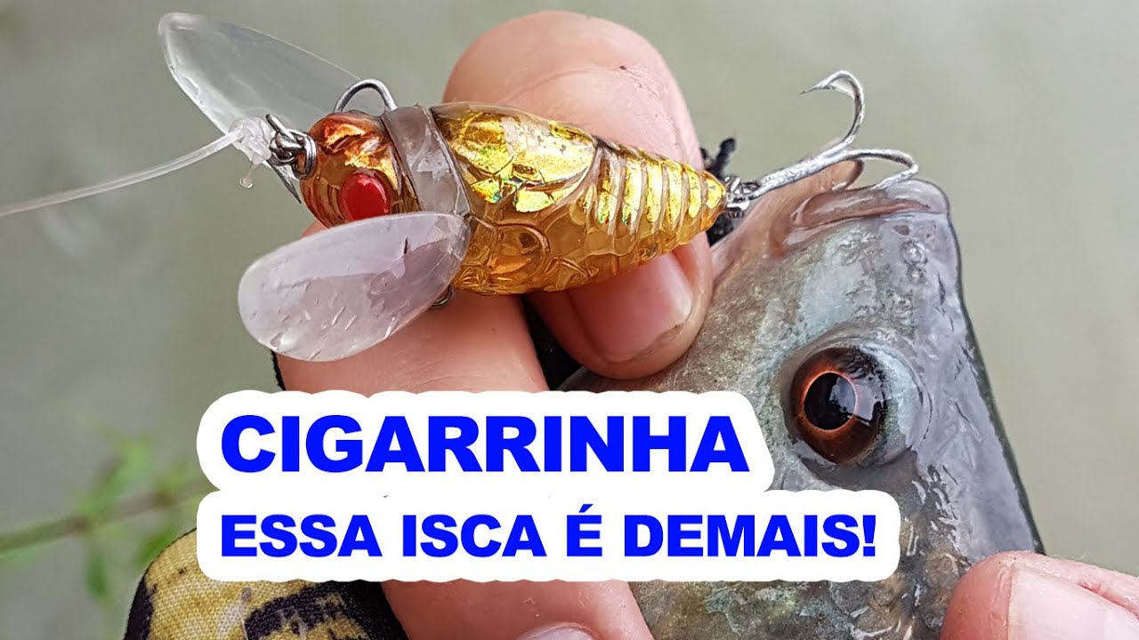 EP 47 -Tilápia na artificial - Cigarrinha (nynfa) da albatroz essa pega demais