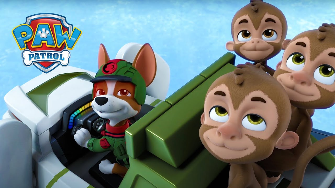 Ghid de safari! 🐒 - PAW Patrol - Desene animate pentru copii