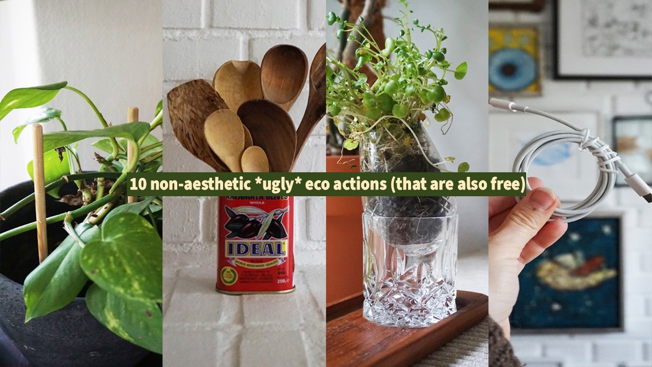 10 non-aesthetic *ugly* sustainability in my home in 2026 (that are also free)