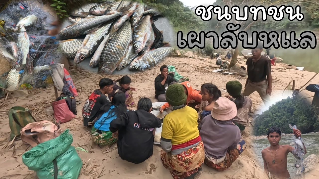 15 มกราคม ค.ศ. 2026ไชชีวีตในป่าหในห้วยหากินตามทำหมะสาศ