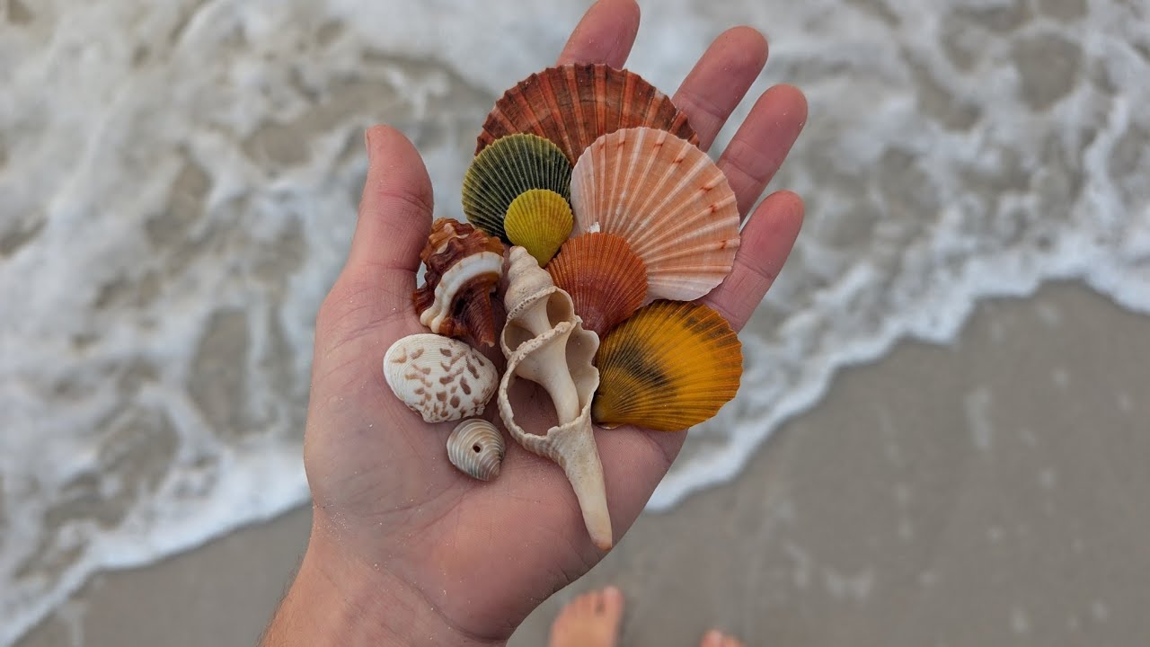 Stress Melting Beach Excursion | Sneak Peak (full video linked below) 🐚🌊 👣