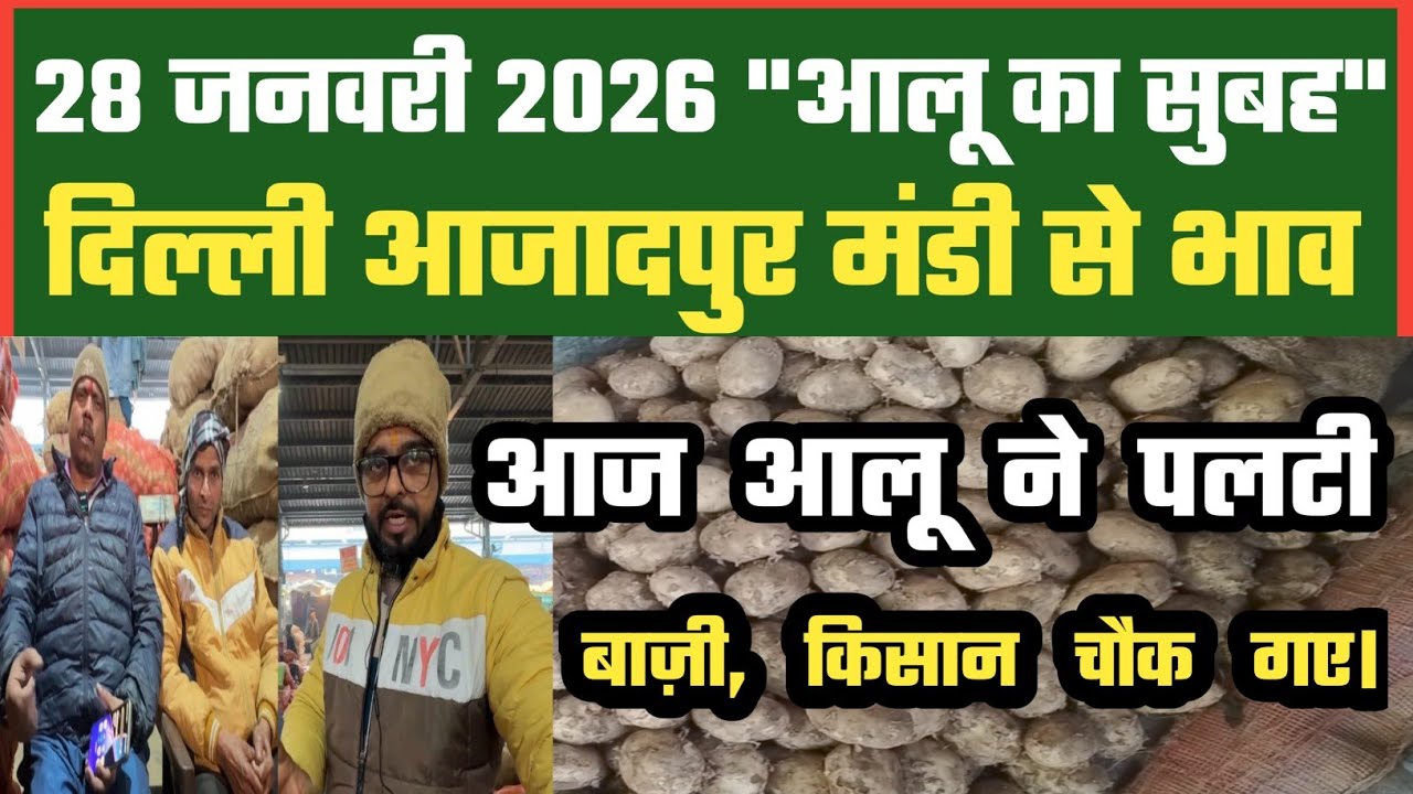 आलू के दाम बढ़े या गिरे? Azadpur Mandi Today | 28 Jan Potato Price