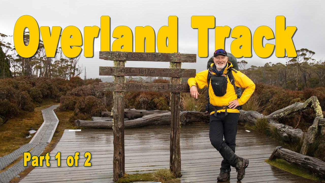 Overland Track - solo, snow, and fagus.