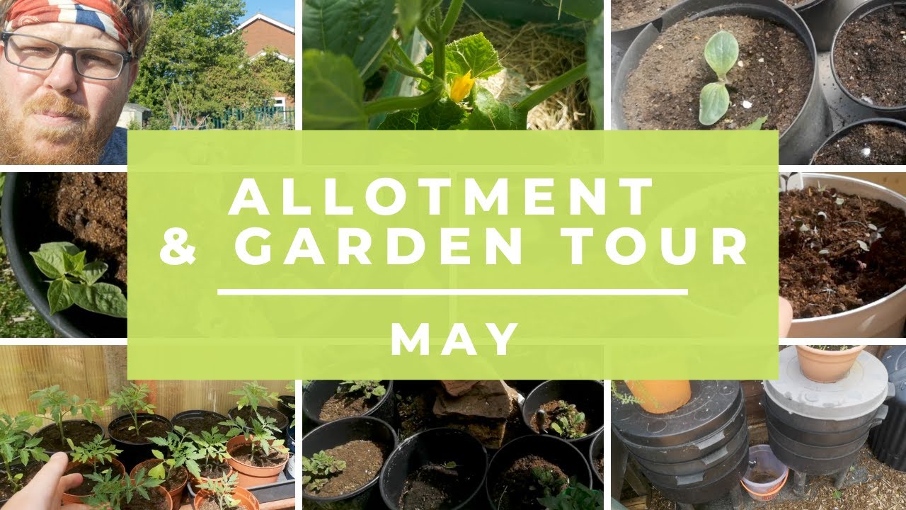 Allotment & Garden Tour May - Allotment for Beginners - Gardening ideas - vegetable gardening