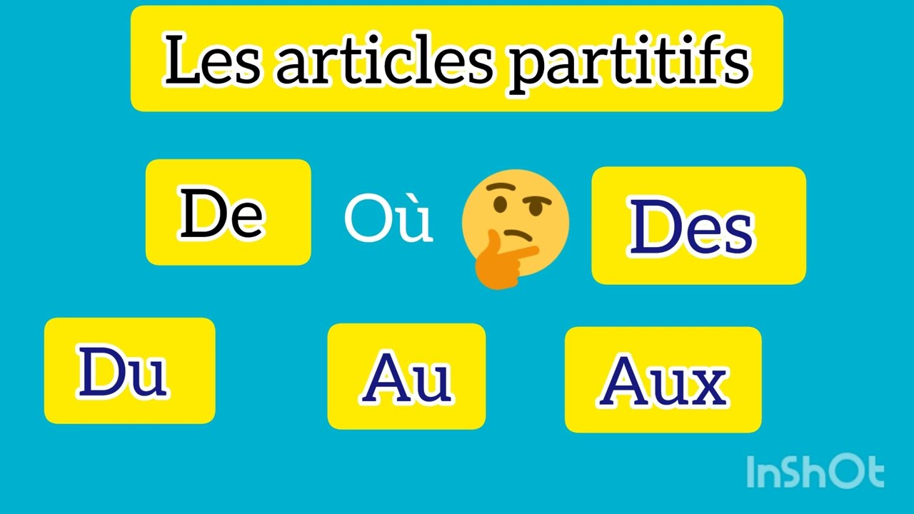 les articles partitifs متى نستعملهم بالشرح الدقيق للمبتدئين