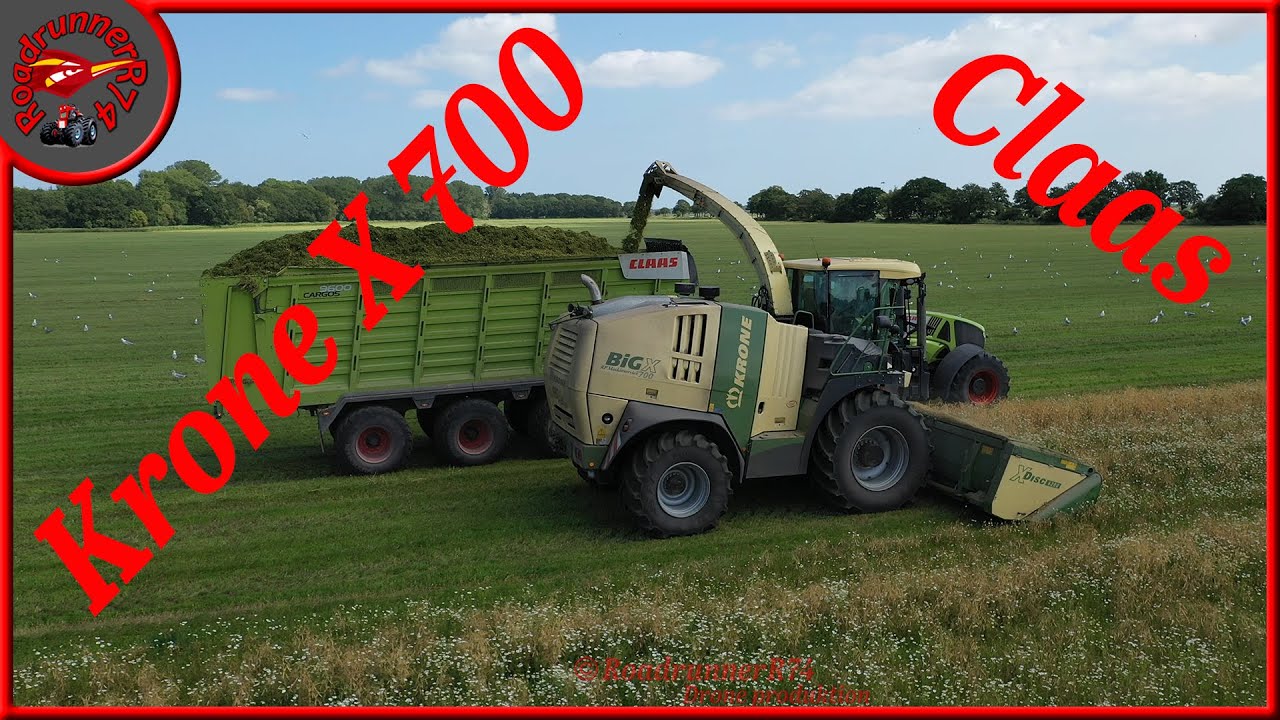 Krone Big X 700  Xdisc 620 makes chaff of pea whole seed for silage Claas Cargos 9600 Axion 870