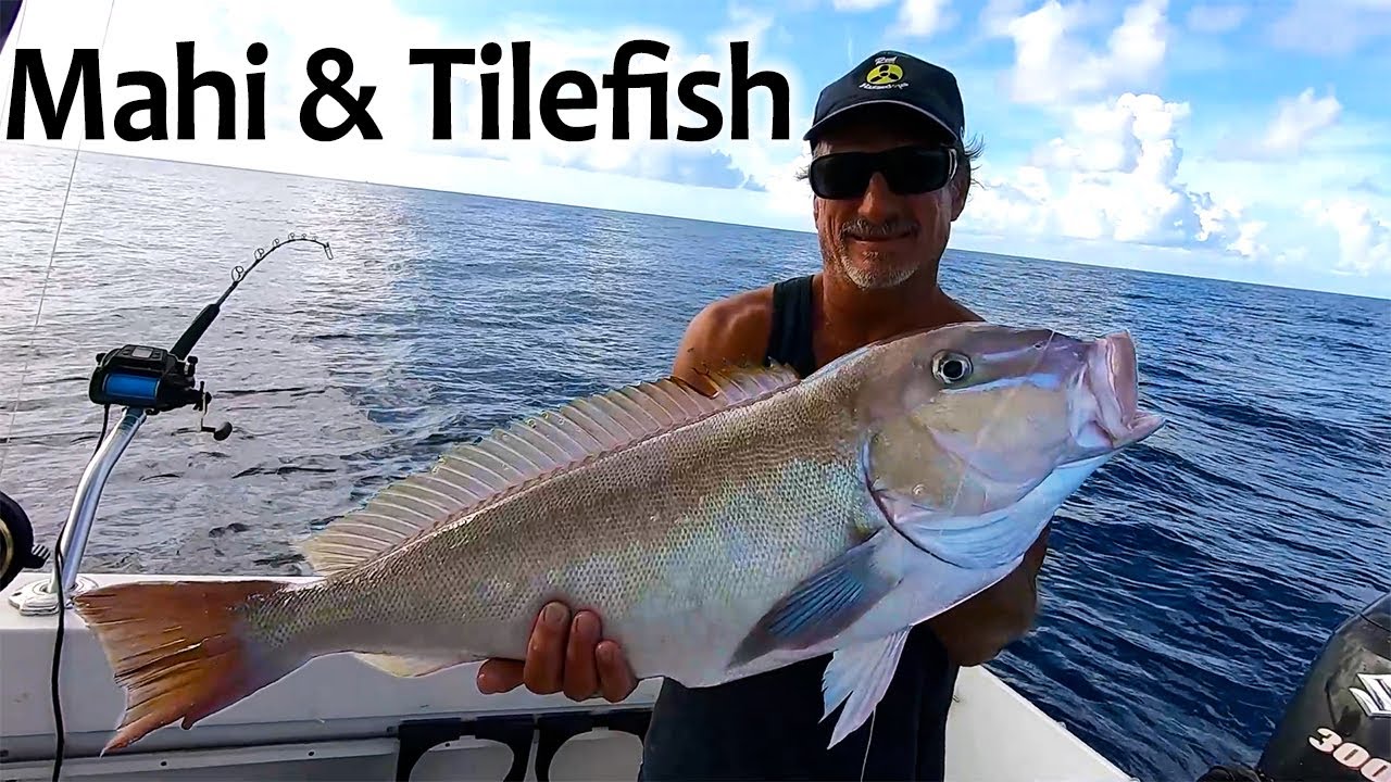 Tanacom 1000 | Mahi Fishing and Evening Deep Drop Fishing for Tilefish in the Florida Keys