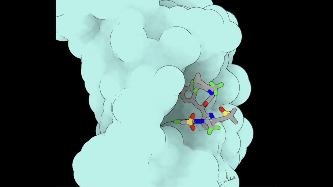 Lenacapavir - HIV capsid protein