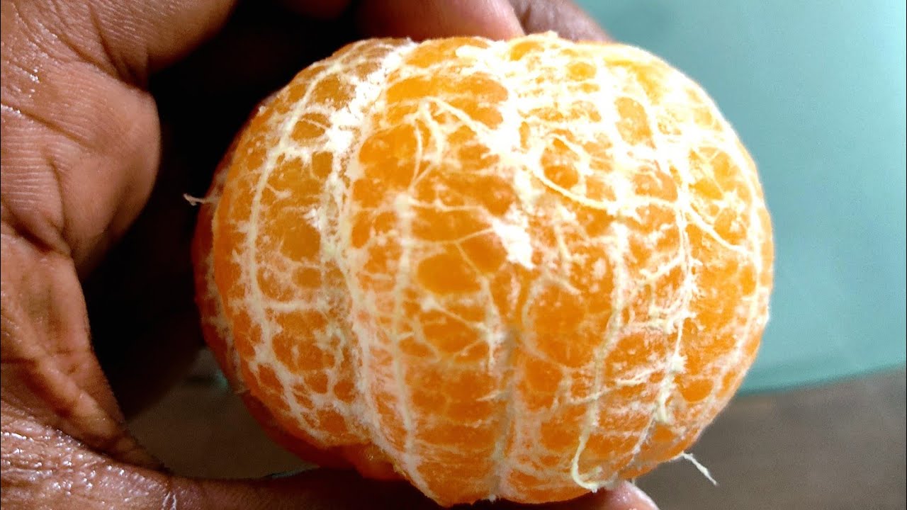 পাকিস্তান কমলা(Pakistan Orange)। বাংলাদেশের মাটিতে সফল বানিজ্যিক জাতের কমলা🇧🇩🍊