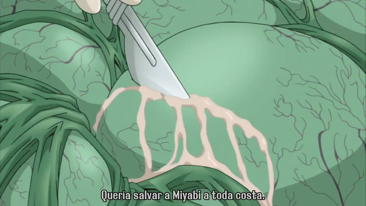 Ray The Animation 05 2-3 sub esp