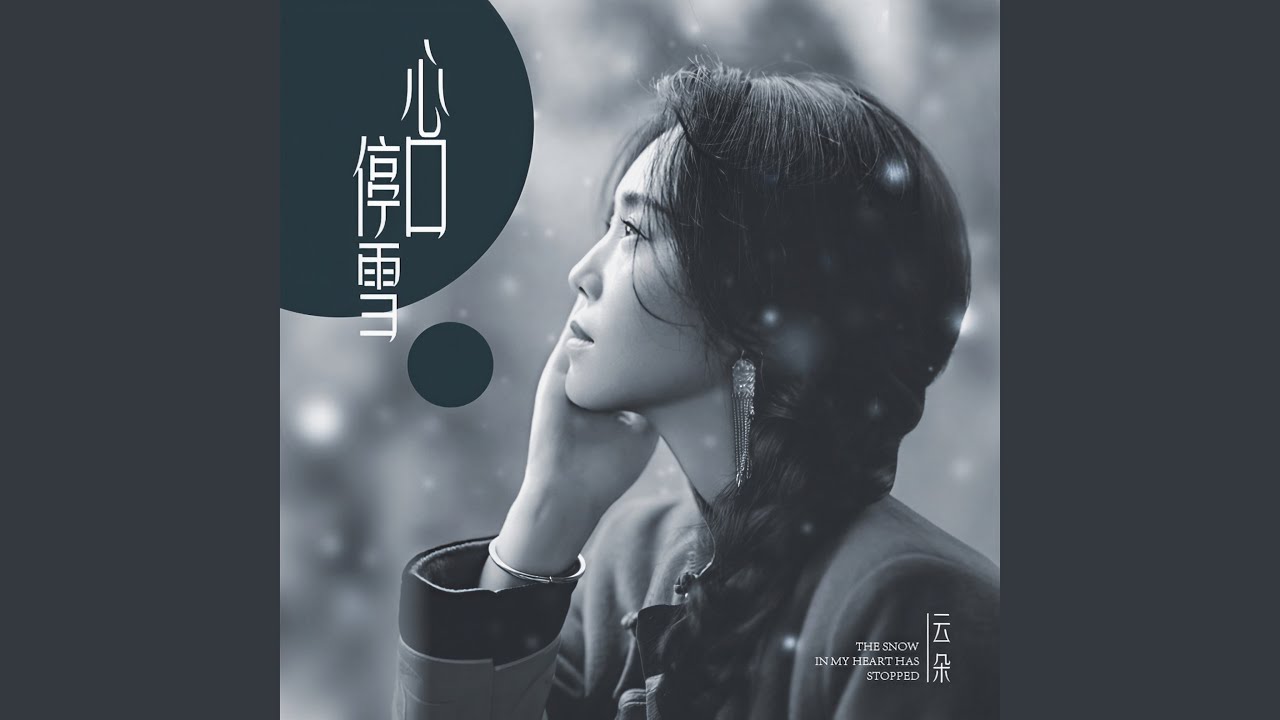 心口停雪