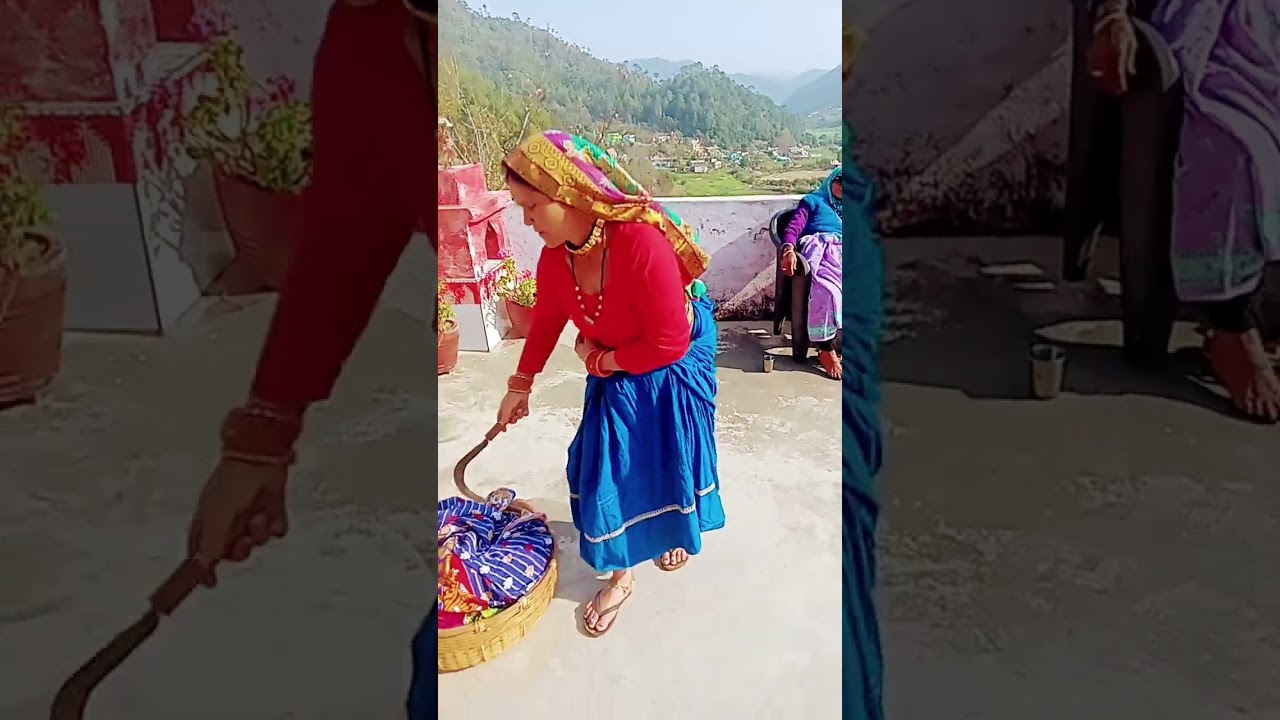 Chatia ki Bhitoli || Uttrakhand song || song lyrics|| viral || shorts video