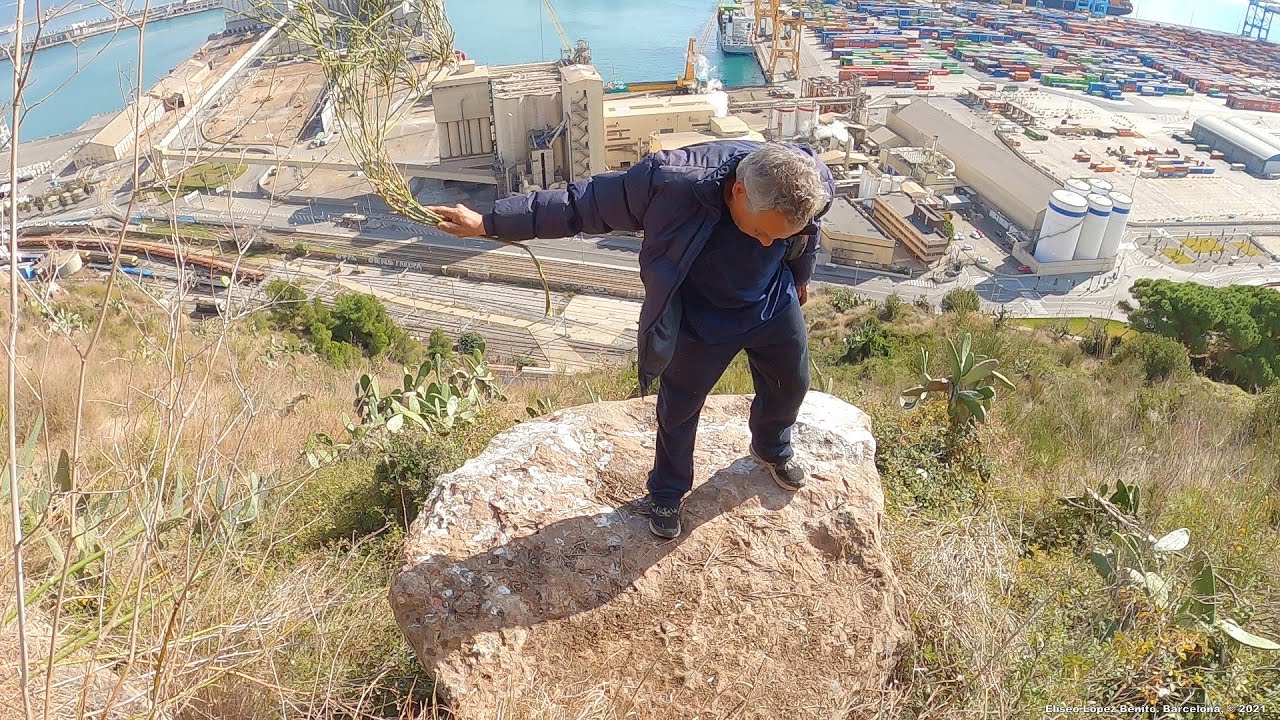 EL NIÑO LOBO DE MONTJUÏC Y LOS ALTARES DE LA CIVILIZACIÓN MADRE