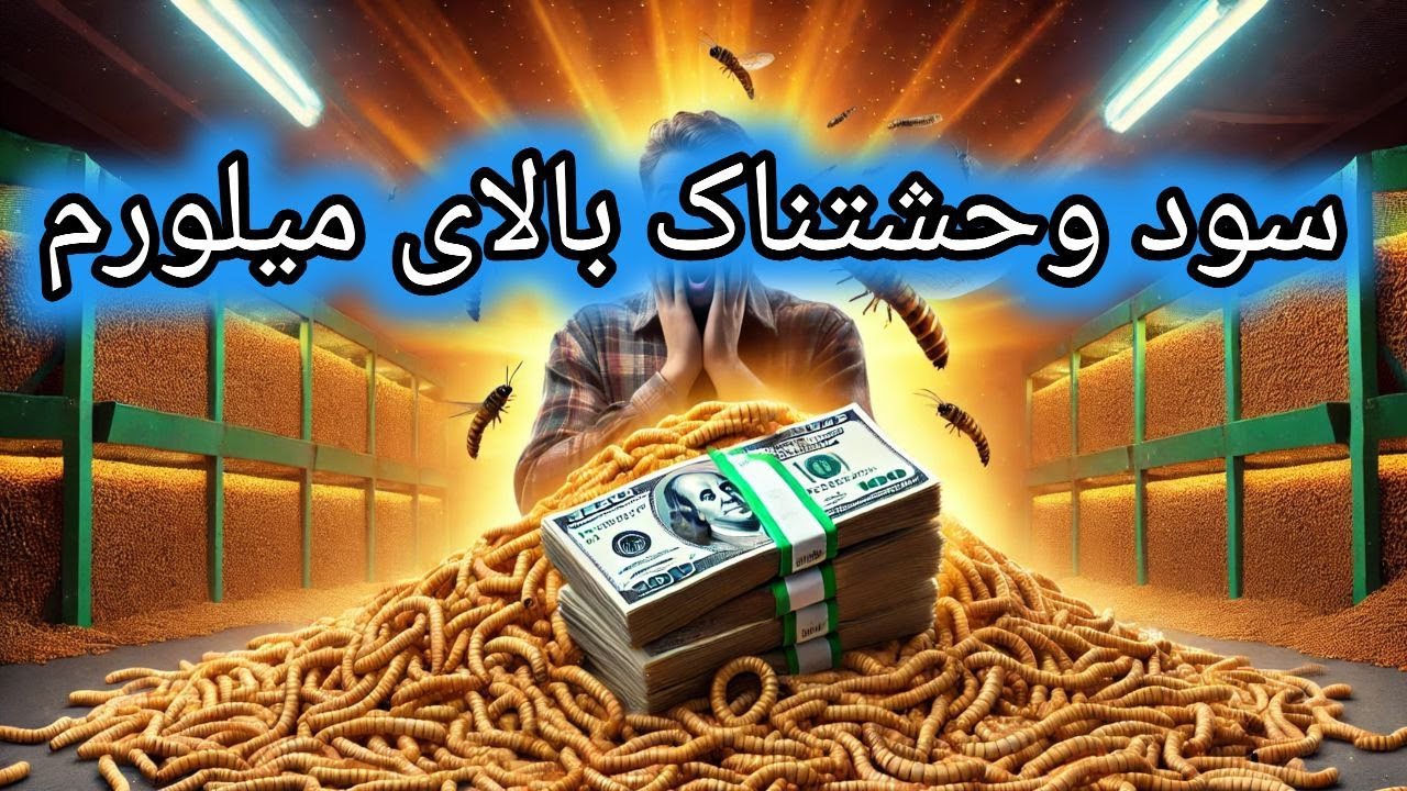 حاشیه های پرورش میلورم , سود پرورش میلورم , پرورش میلورم , سوسک تاریکی , پرورش حشرات
