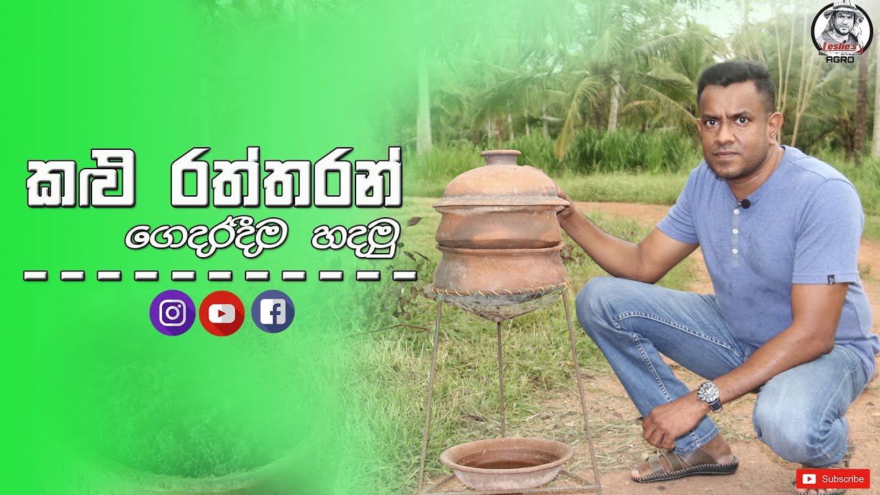 how to make vermicompost( black gold) easily in your home garden