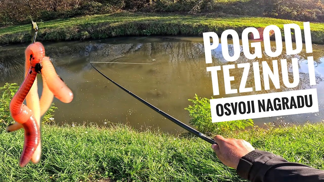 PECANJE SARANA NA PLOVAK - STANDARDAN DAN NA KANALU