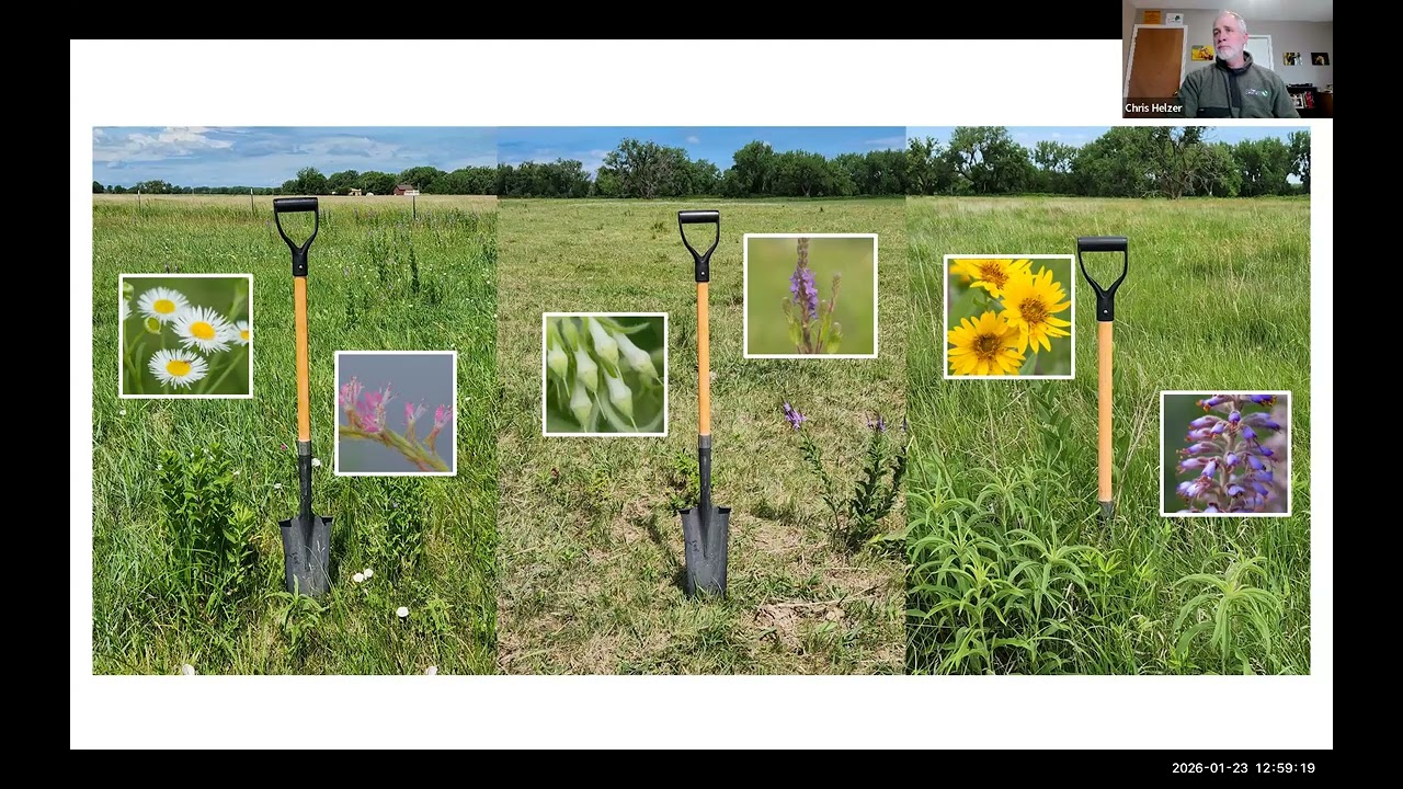 Interview with Chris Helzer, The Nature Conservancy