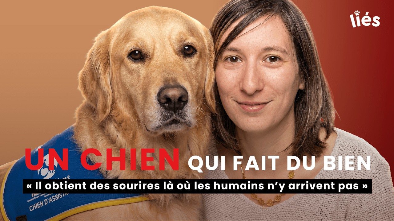 Saïko, le chien qui illumine le quotidien des résidents | Liés #4