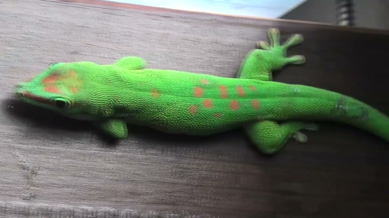 images de la Réunion Oct 2025