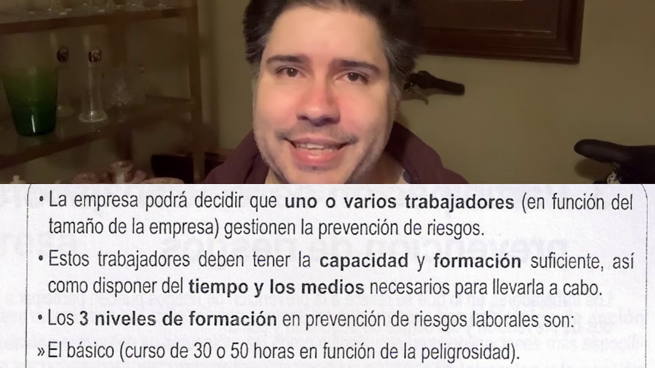 Inspección de trabajo, Organización y Participación en la prevención