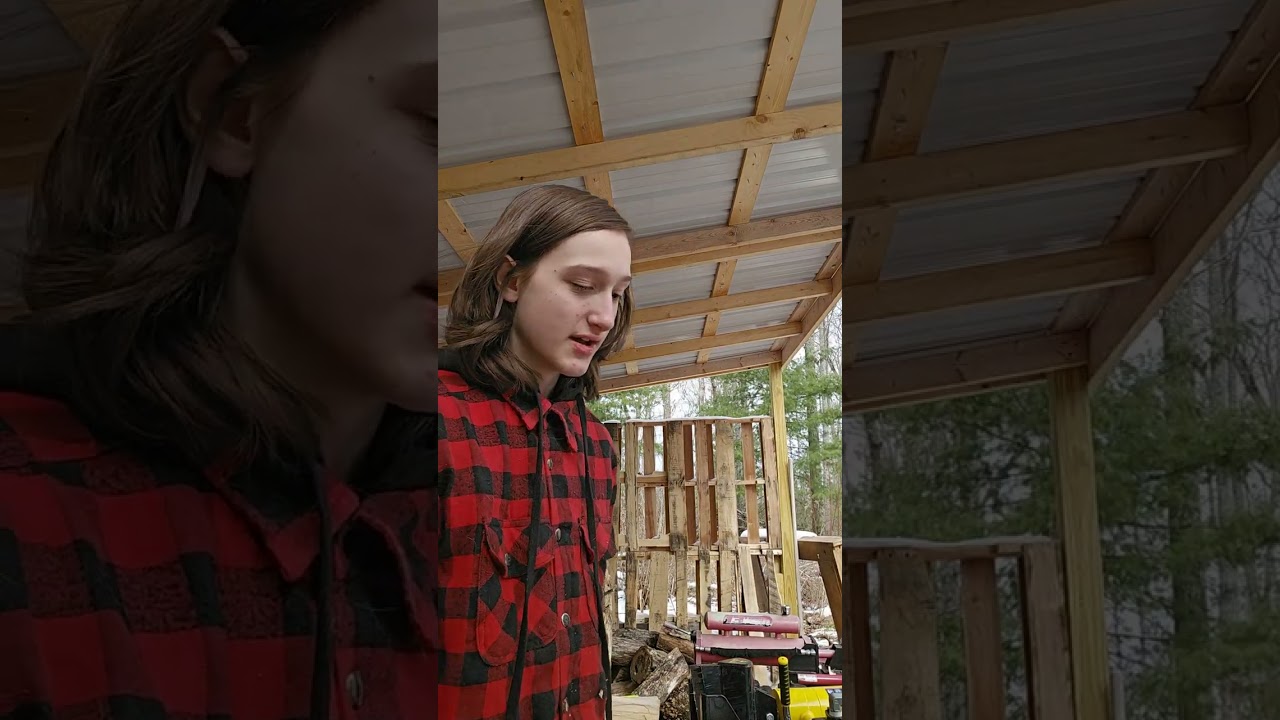 Splitting  wood 