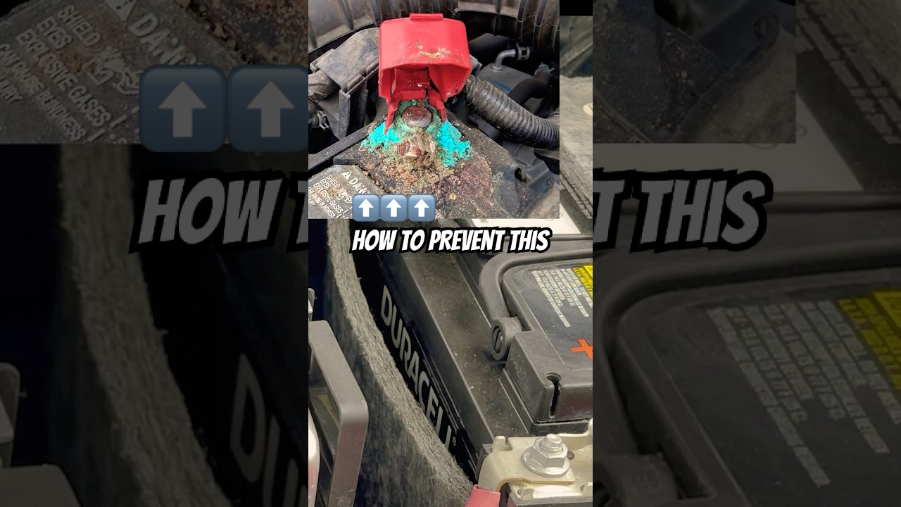 Prevent Car Battery Terminal Corrosion with Dielectric Grease!