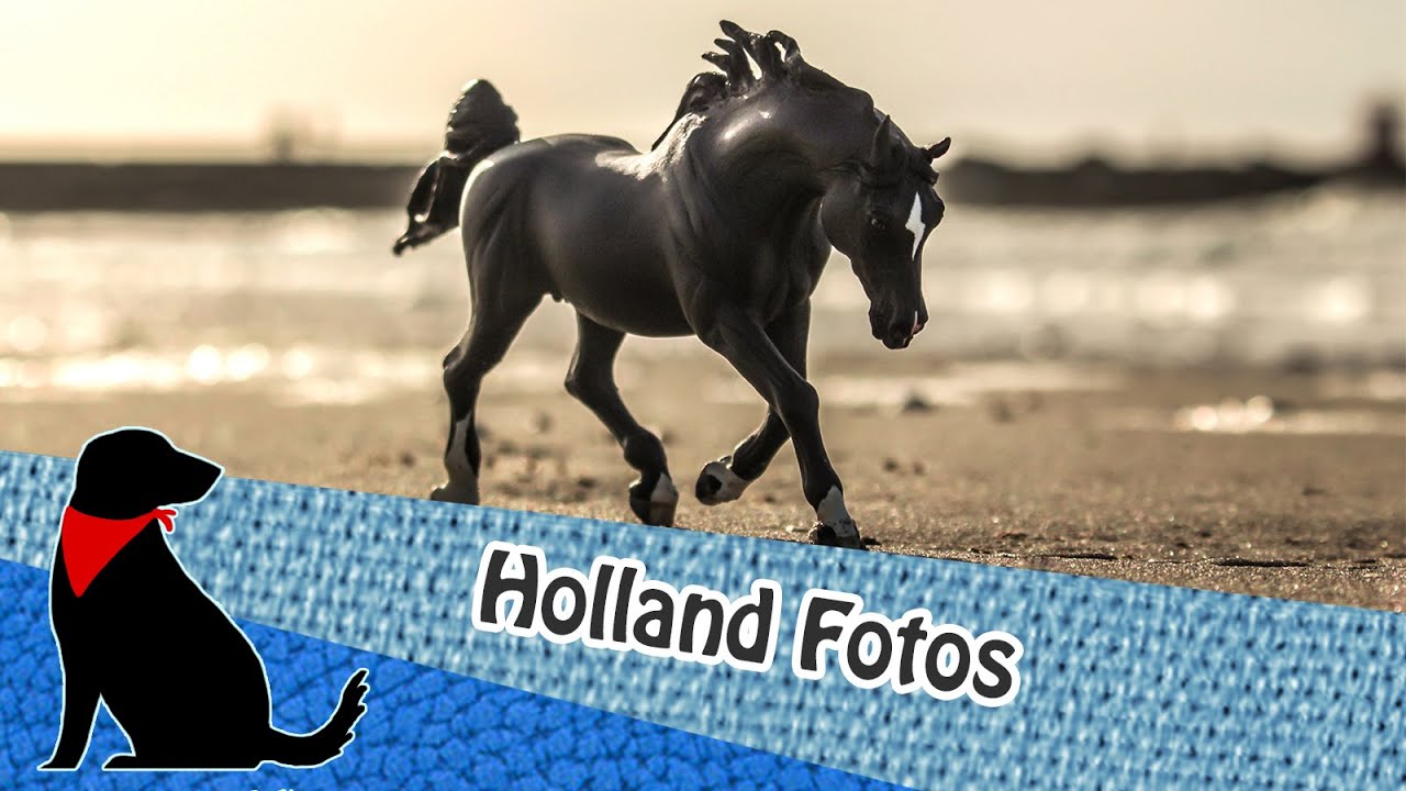 📷SCHLEICH FOTOTOUR IN HOLLAND📷 (Schleich Anda-Conga, Resins, etc.)