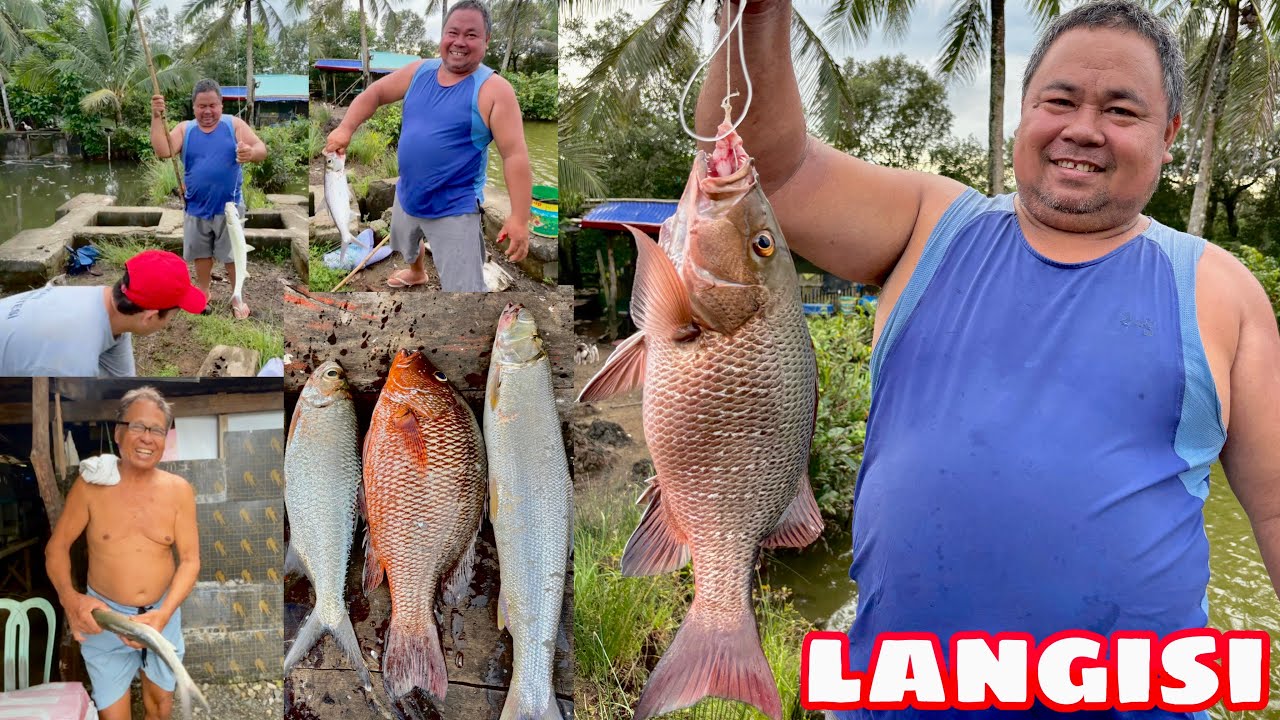 GRABE ANG LAKI NG LANGISI AT MIDBID NA NAHULI NI PAPA🤩🤩 | CATCHING BIG MANGROVE SNAPPER 
