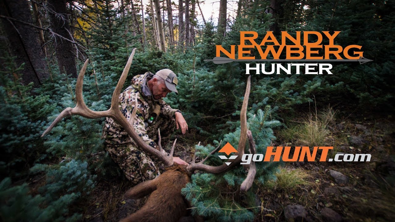 How to Use goHunt INSIDER to Draw Arizona Elk and Antelope Tags