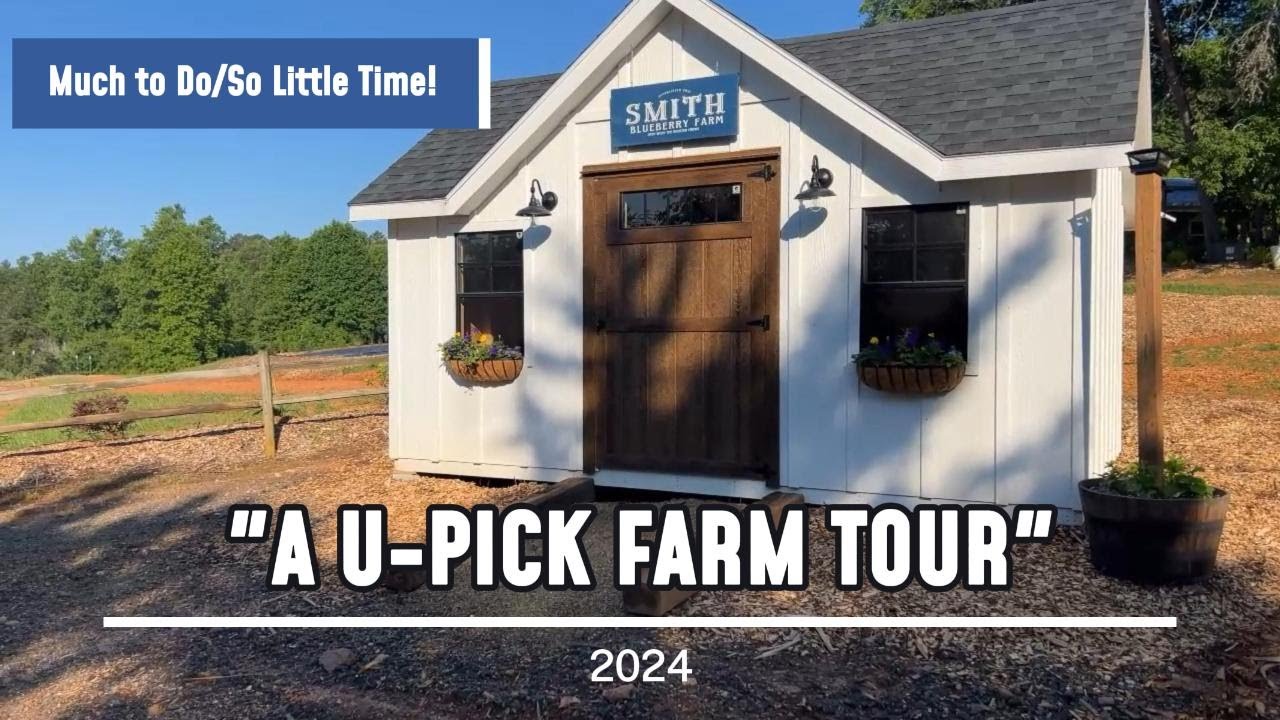 Farm Tour of Our U-Pick Berry and Cut Flower Farm 2024!