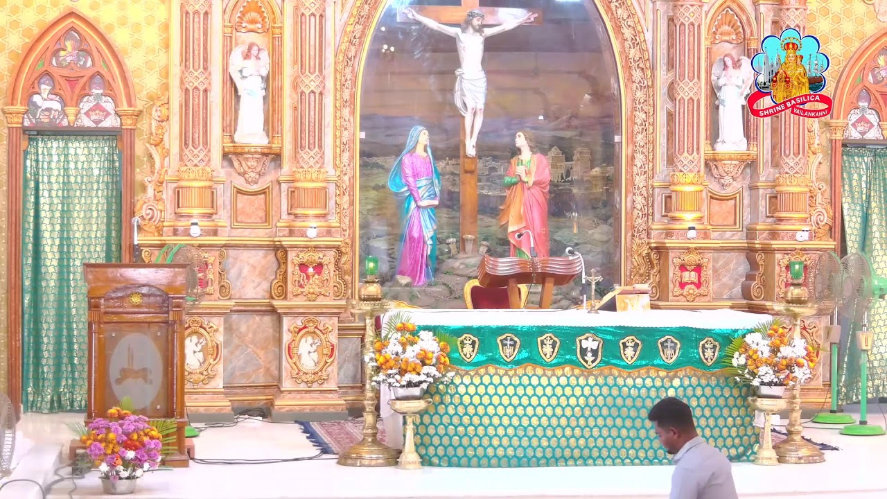 🔴 Live 03 February 2026 @ Vailankanni Shrine Basilica