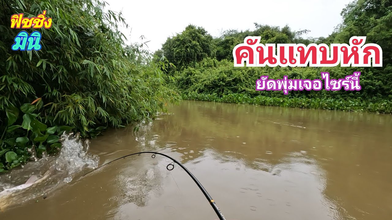 คันแทบหัก..ยัดพุ่มหมายกอไผ่ 😱 ของใหญ่หน้าน้ำหลาก ตกปลากด.